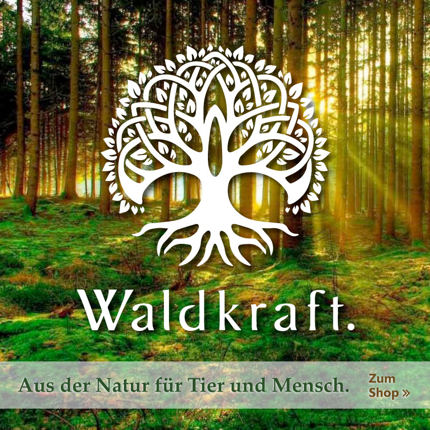 Waldkraft